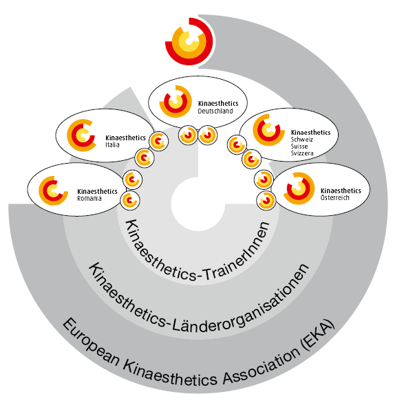 - Le réseau européen Kinaesthetics -