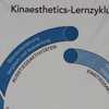 Kinaesthetics-Lernzyklus, Stoffdruck, deutsch Kinästhetik-Shop